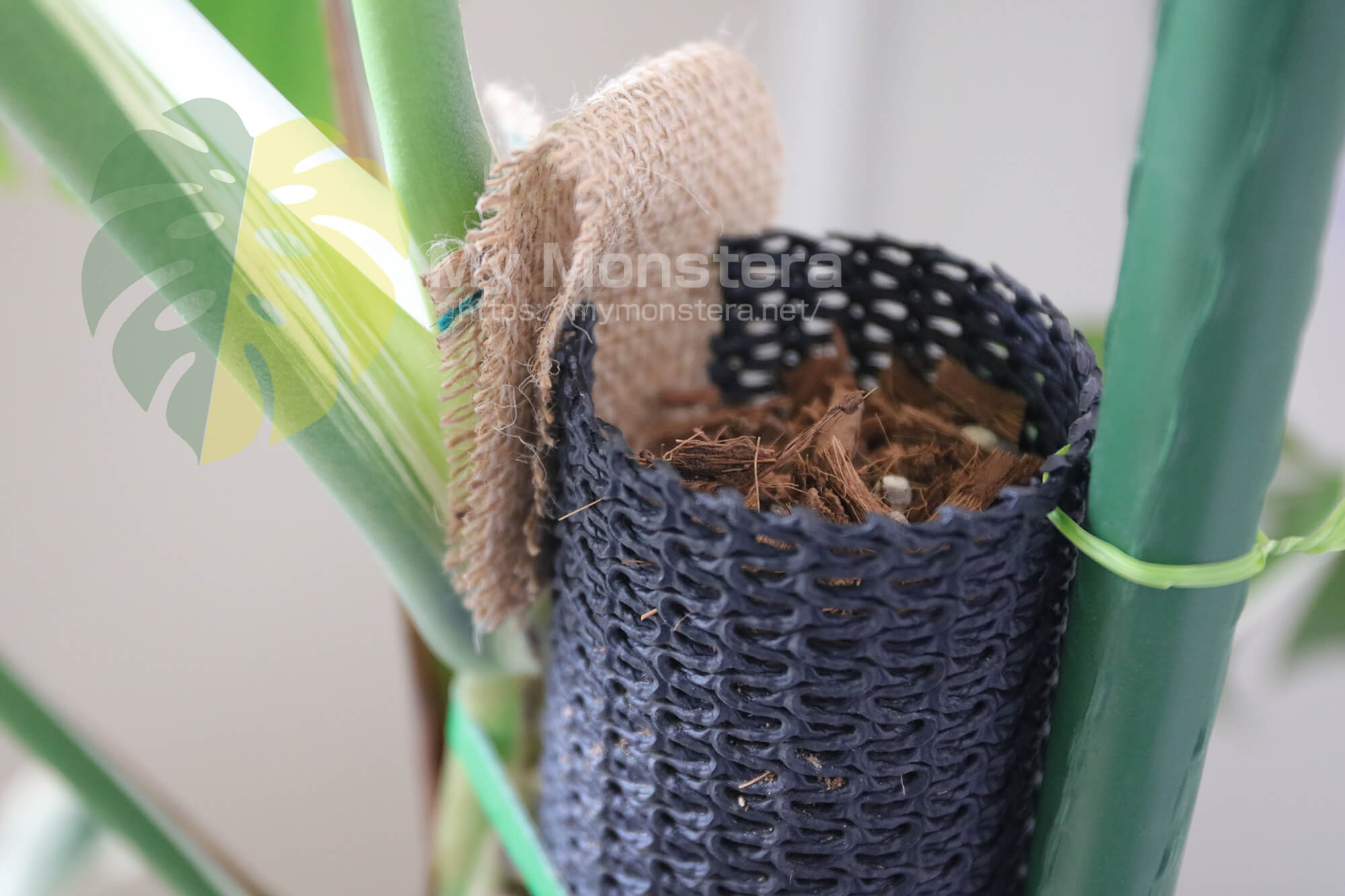 モンステラ用支柱（ネトロンパイプ）の連結方法