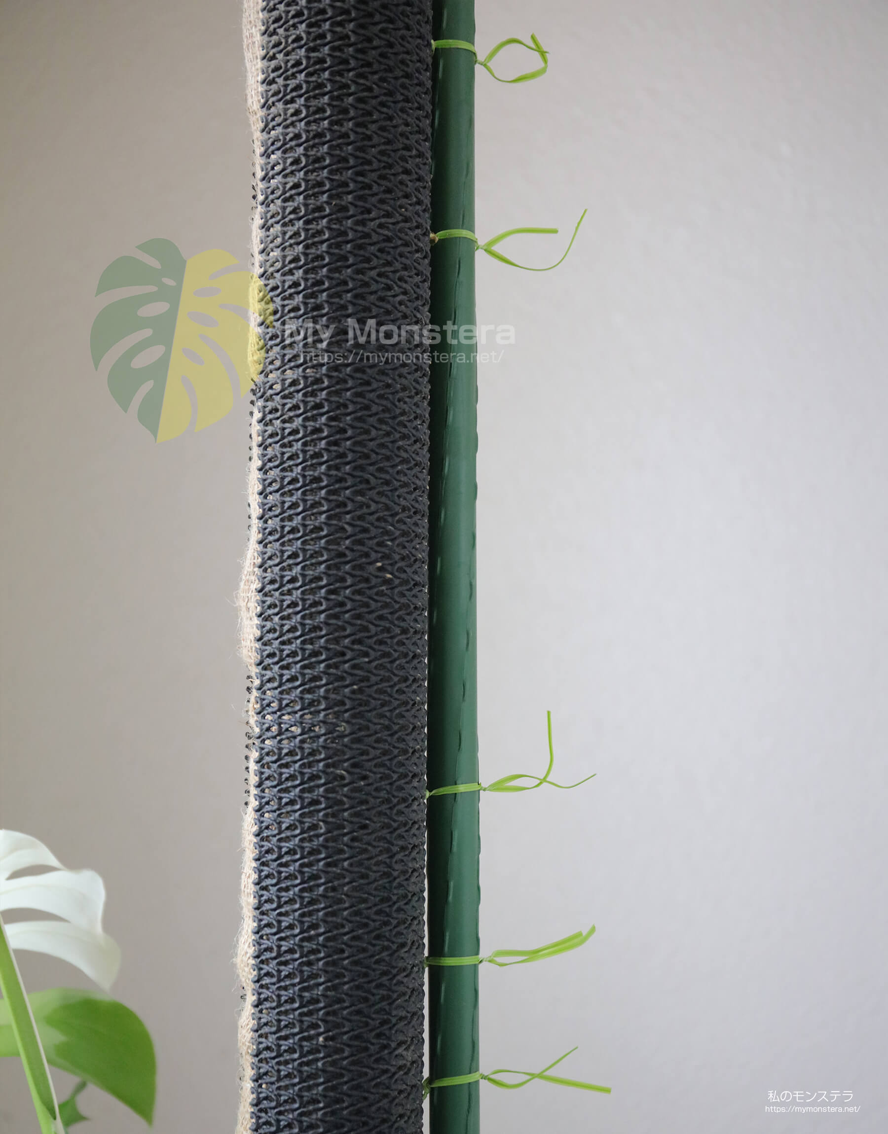 モンステラ用支柱（ネトロンパイプ）の連結方法