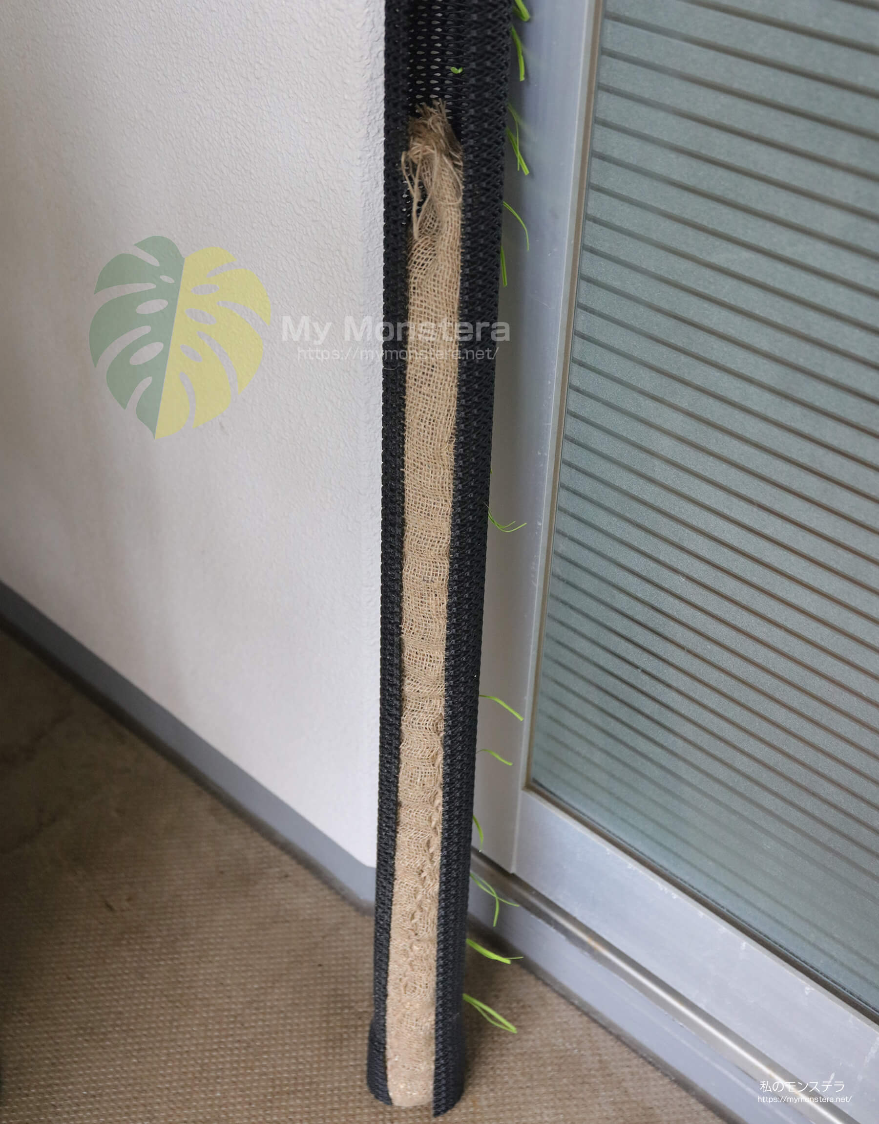 モンステラ用支柱（ネトロンパイプ）の連結方法